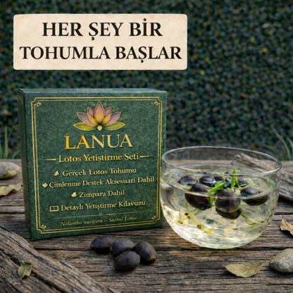 Lotos – Karışık Renklerde Eşsiz Deneyim