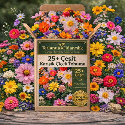 25 Çeşit Premium Çiçek Tohumu 🌸 Kolay Yetişen Özel Karışım
