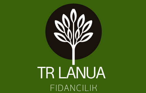TRLANUAFİDANCILIK2